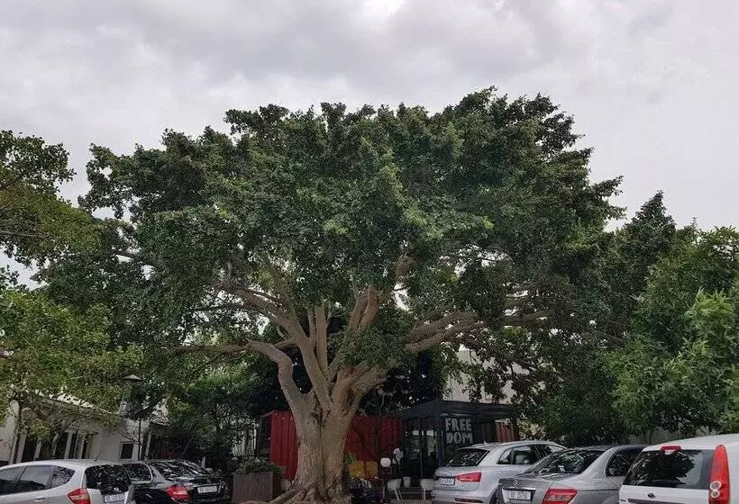 Fotos del hotel The Concierge Boutique Bungalows:  10