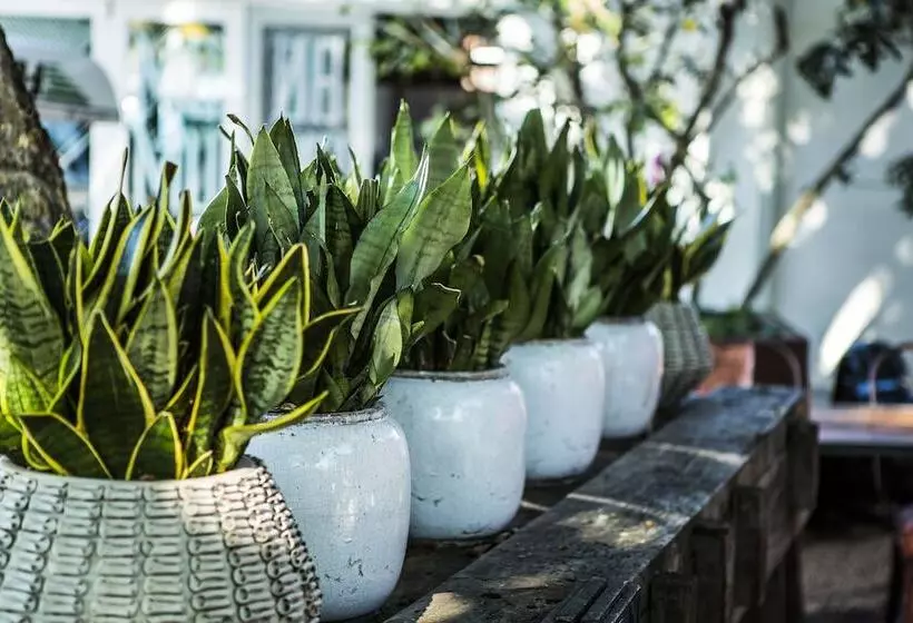 Fotos del hotel The Concierge Boutique Bungalows:  8