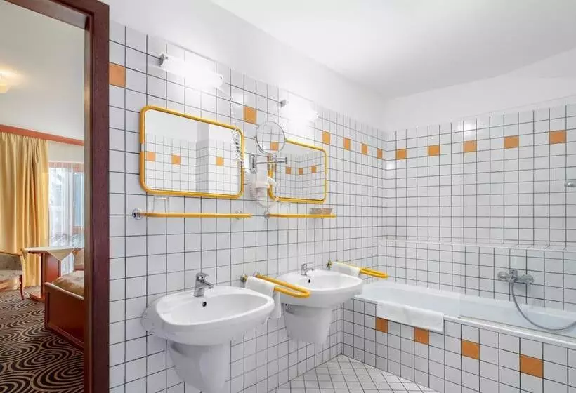 Fotos del hotel Sándor:  7