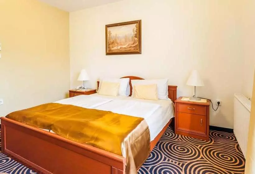 Fotos del hotel Sándor:  20