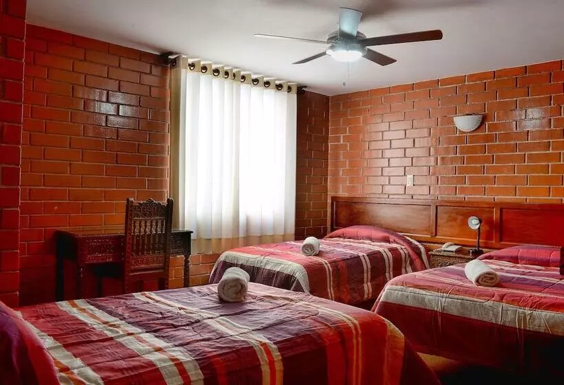 Fotos del hotel Esperanza:  12