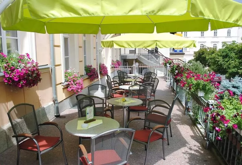 Fotos del hotel Venus:  4