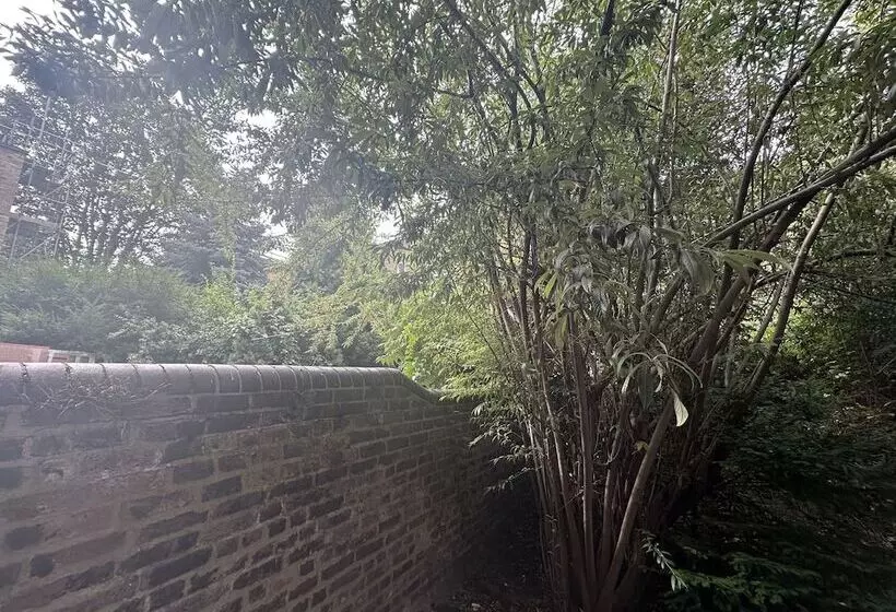 Fotos del hotel Hotel Cavendish:  5