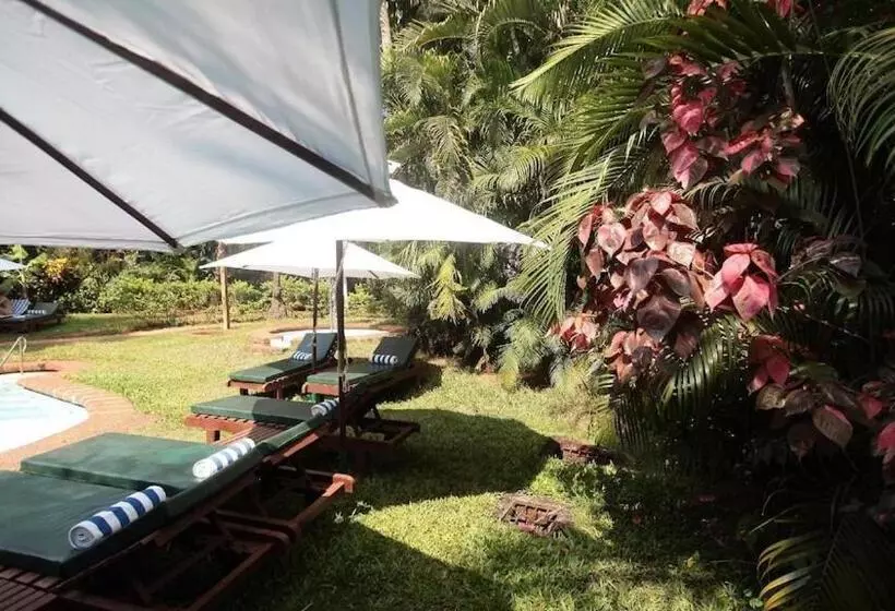 Fotos del hotel Presa Di Goa  The Country House:  24