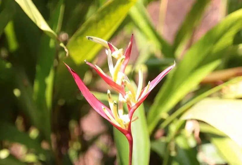 Fotos del hotel Presa Di Goa  The Country House:  16