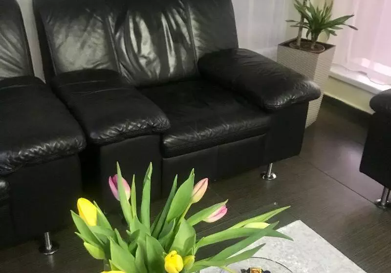 Fotos del hotel Vandia:  9