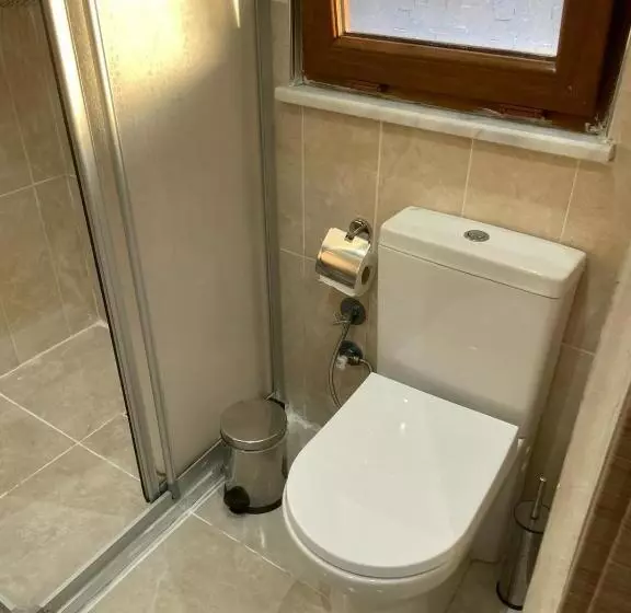 Fotos del hotel Luna Suites Taksim:  7