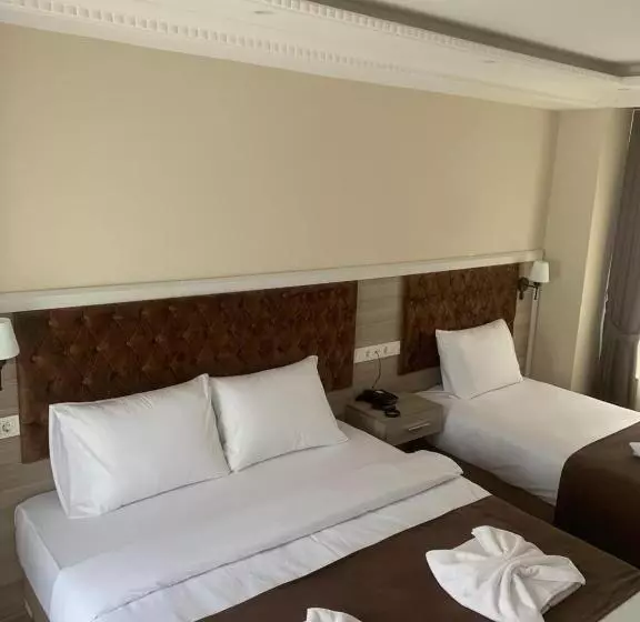 Fotos del hotel Luna Suites Taksim:  6