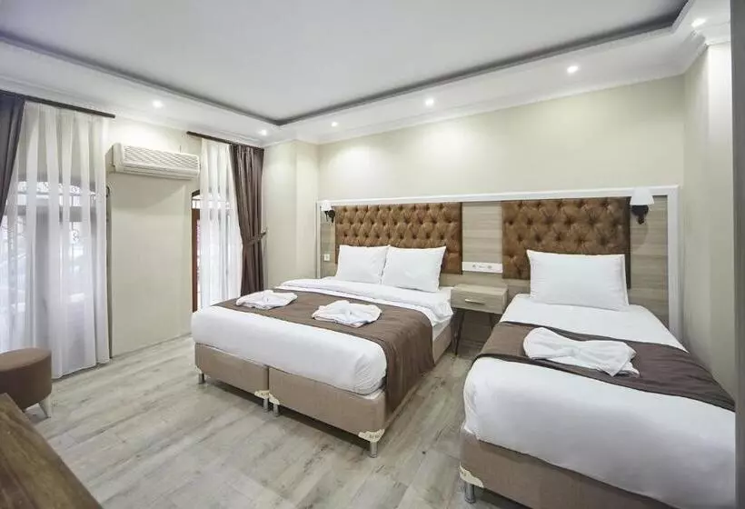 Fotos del hotel Luna Suites Taksim:  8