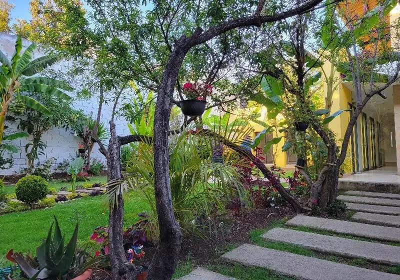 Fotos del hotel Jardines De Luz:  9