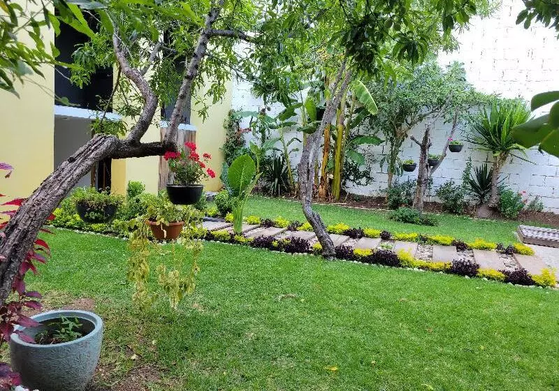 Fotos del hotel Jardines De Luz:  11