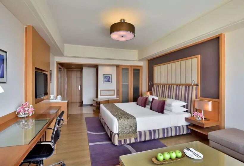 Fotos del hotel Radisson Blu Hotel, Indore:  2