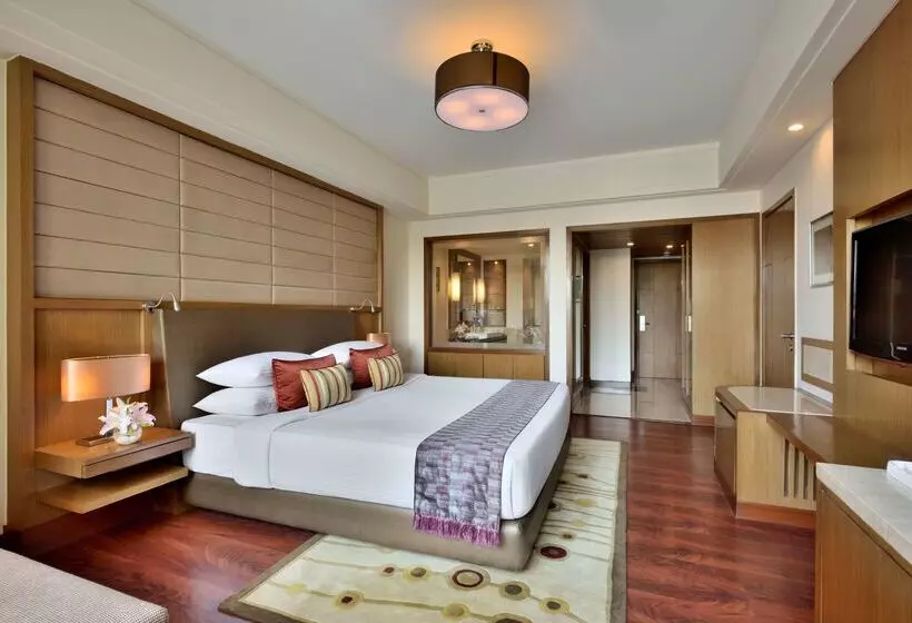 Fotos del hotel Radisson Blu Hotel, Indore:  20