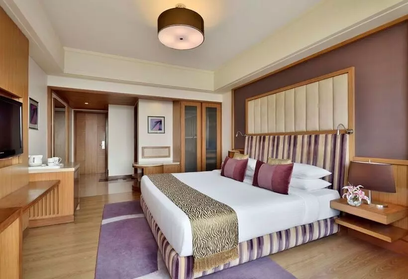 Fotos del hotel Radisson Blu Hotel, Indore:  22