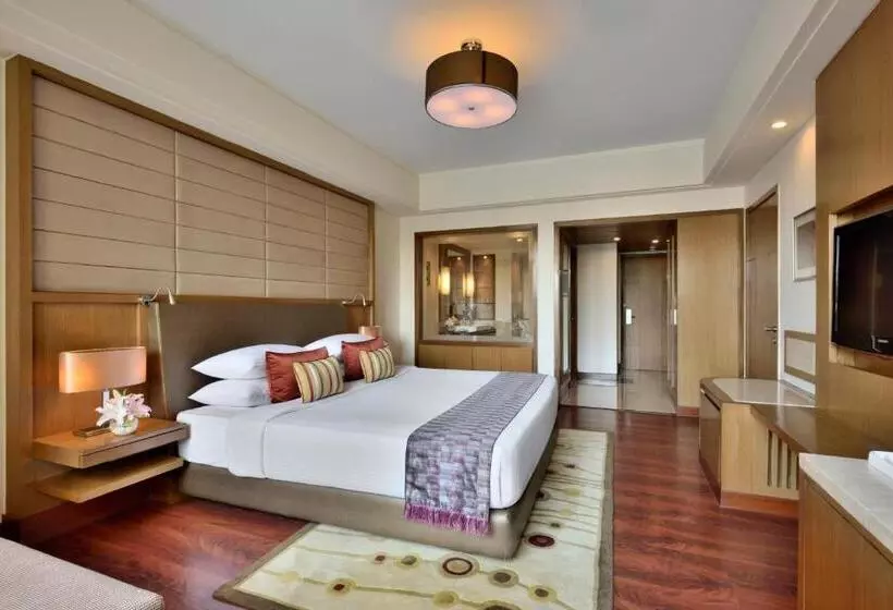 Fotos del hotel Radisson Blu Hotel, Indore:  18