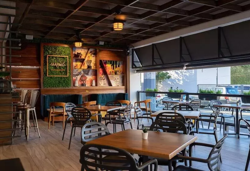 Fotos del hotel Aladino:  15