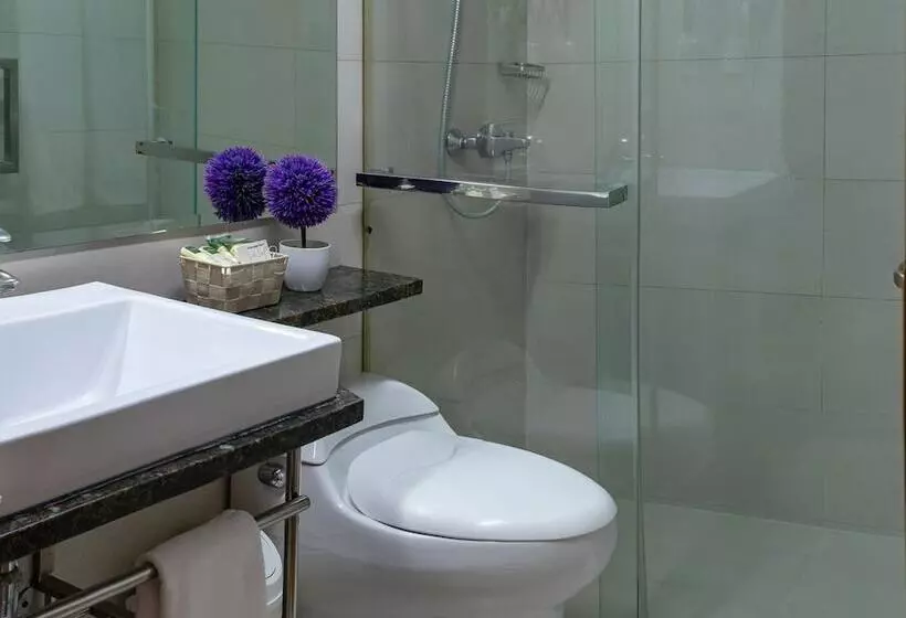 Fotos del hotel Aladino:  19