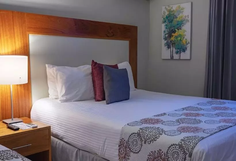 Fotos del hotel Aladino:  14