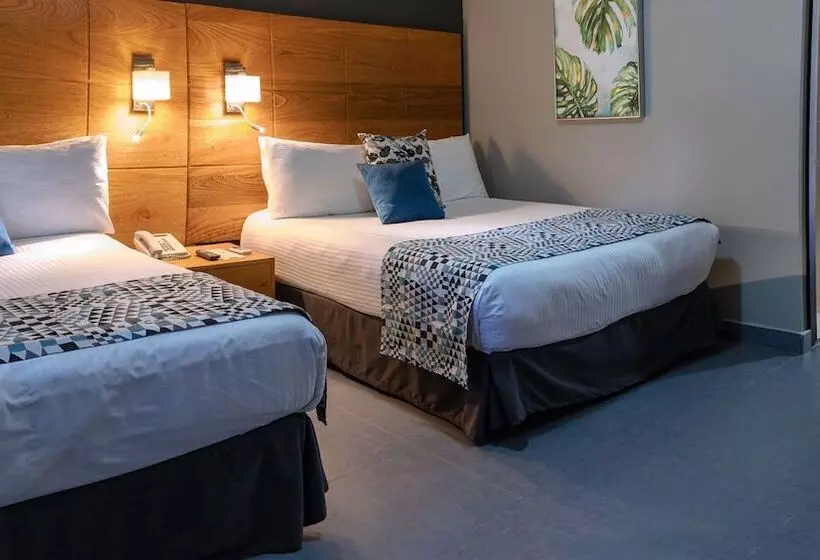 Fotos del hotel Aladino:  25