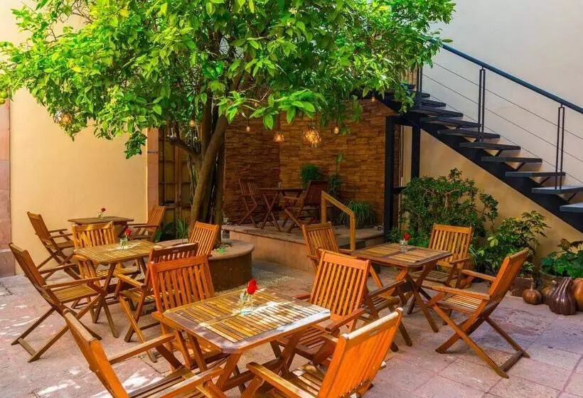 Fotos del hotel La Casa Del Naranjo  Boutique:  5