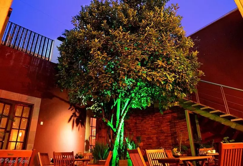 Fotos del hotel La Casa Del Naranjo  Boutique:  3