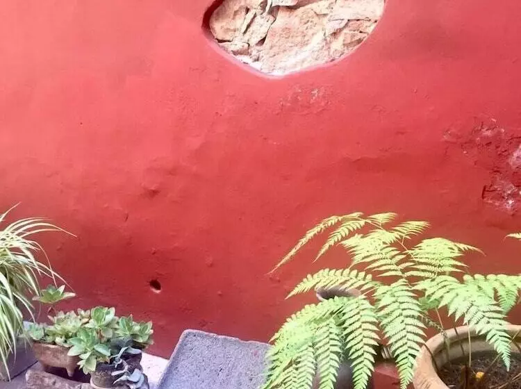 Fotos del hotel La Casa Del Naranjo  Boutique:  12