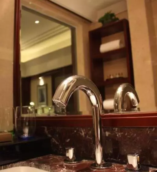 Fotos del hotel Optics Vally Kingdom Plaza:  20