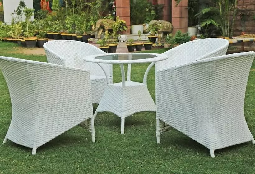 Fotos del hotel Treebo Trend The Marwar  And Garden Jodhpur:  8