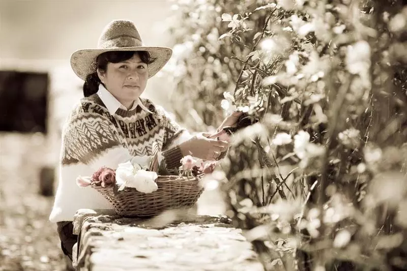 Fotos del hotel House Of Jasmines:  4