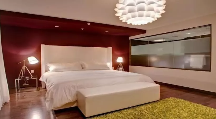 Fotos del hotel Prime Hotel Miami:  13