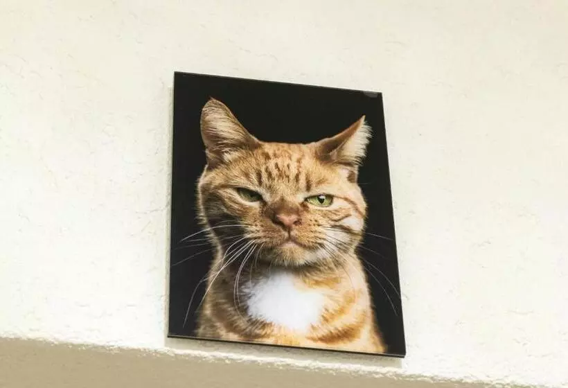 Fotos del hotel Birsighof Basel City Center:  9