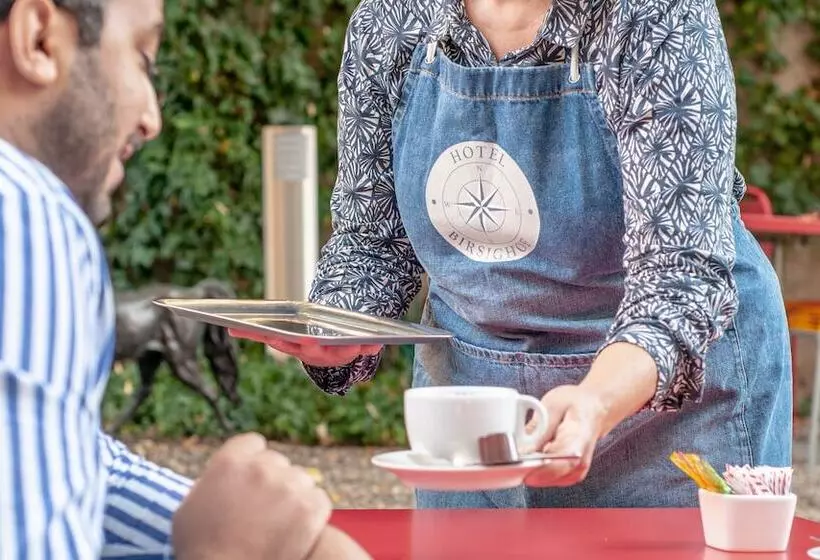 Fotos del hotel Birsighof Basel City Center:  6