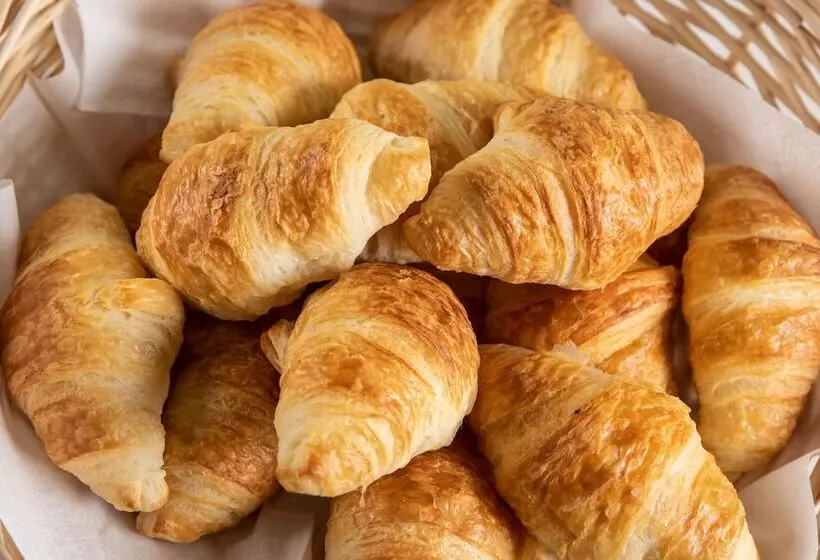 Fotos del hotel Birsighof Basel City Center:  3