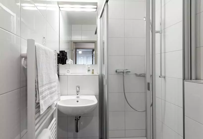 Fotos del hotel Birsighof Basel City Center:  5