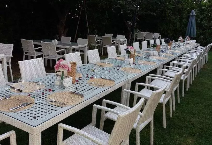 Fotos del hotel Dafne:  22