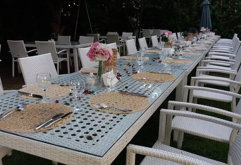 Fotos del hotel Dafne:  24