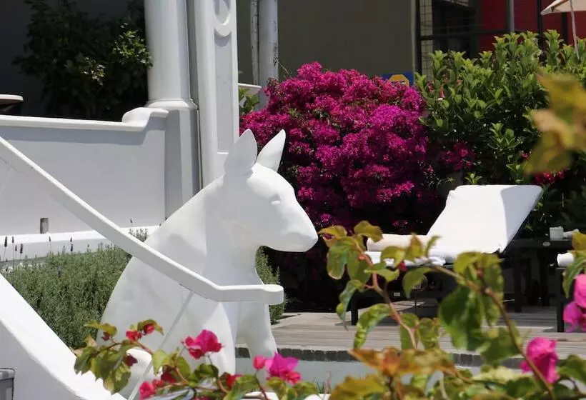 Fotos del hotel Dysart Boutique:  24