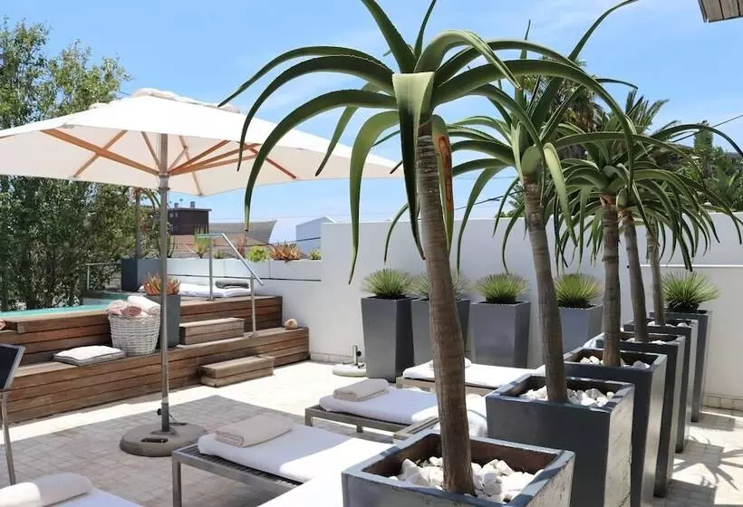 Fotos del hotel Dysart Boutique:  5