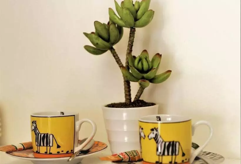 Fotos del hotel Dysart Boutique:  23