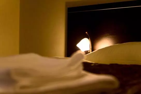 Fotos del hotel Majestic:  24