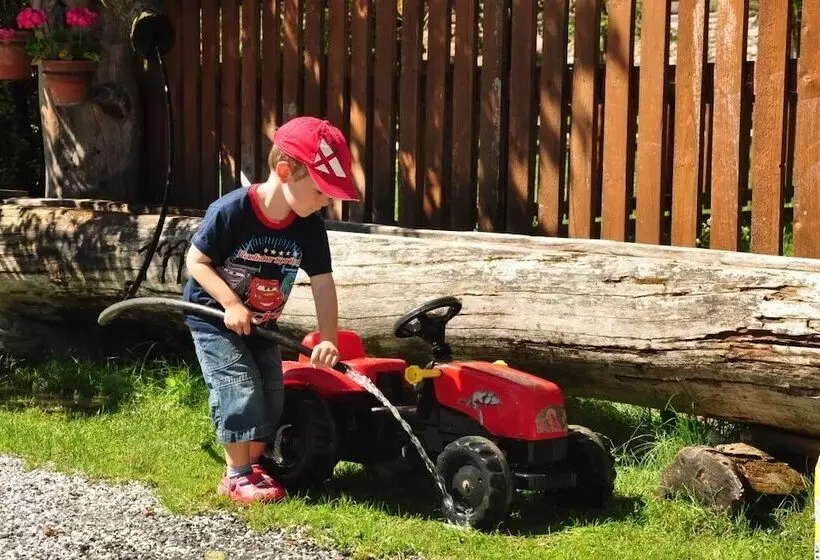 Fotos del hotel Komfortbauernhof Zittrauerhof:  25