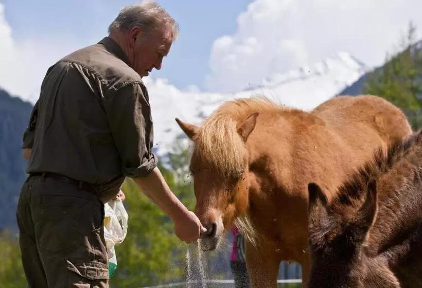 Fotos del hotel Komfortbauernhof Zittrauerhof:  15