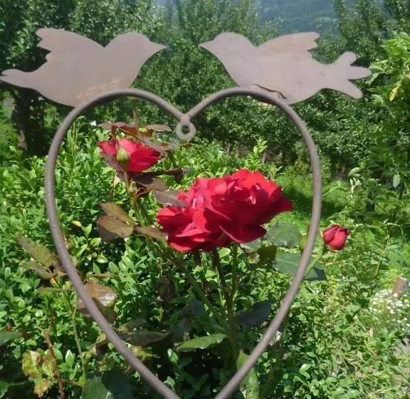 Fotos del hotel Komfortbauernhof Zittrauerhof:  19