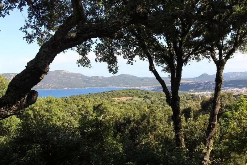 Fotos del hotel Les Hauts De Portovecchio:  6