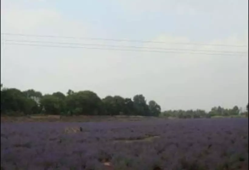 Fotos del hotel Ramada Kunming North:  6