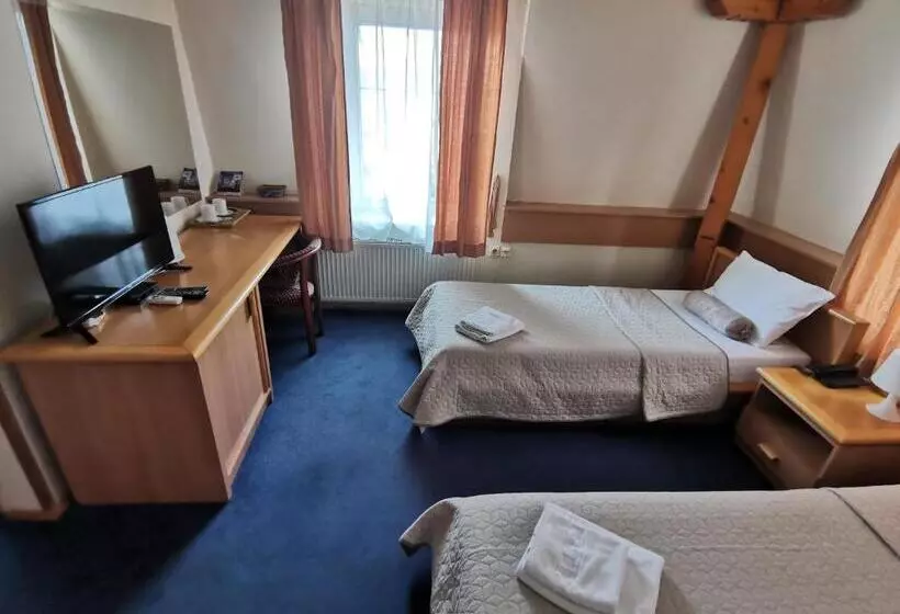 Fotos del hotel Garni Hotel Panorama Lux:  17