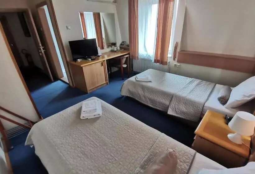 Fotos del hotel Garni Hotel Panorama Lux:  15