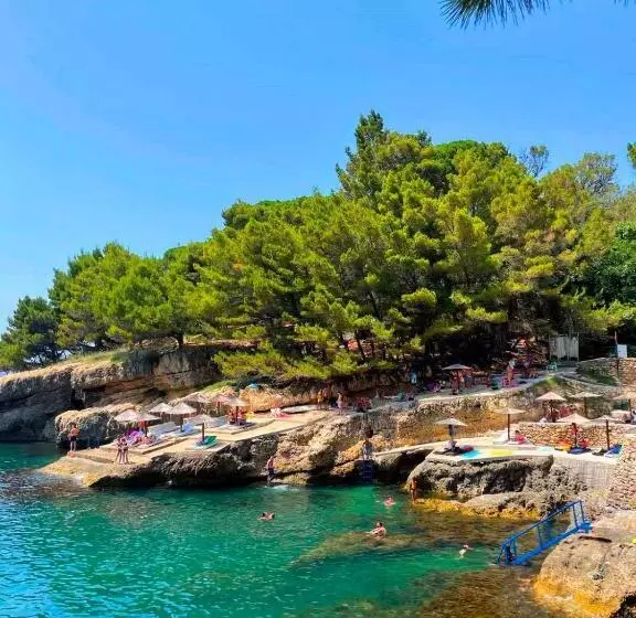 Fotos del hotel Albatros:  11