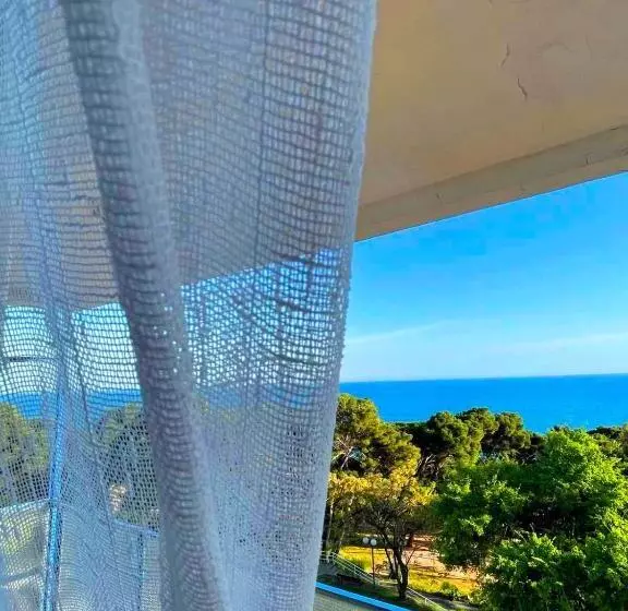 Fotos del hotel Albatros:  6