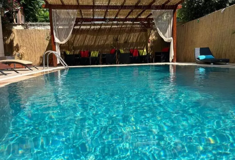 Fotos del hotel Beyaz Melek:  20